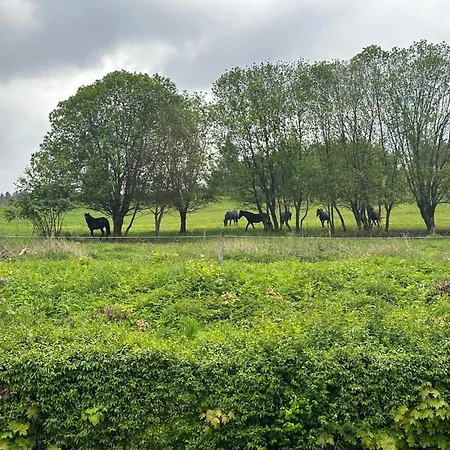 Roma Duszniki Zdrój