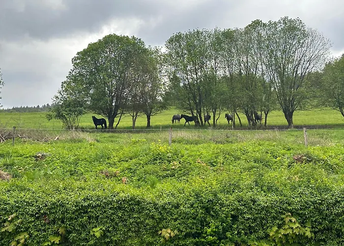 Roma Duszniki Zdrój